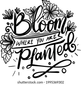 Bloom Where You Planted. Garden Lettering Quotes Motivational Inspirational For Printable, Poster, Wood Print, T-Shirt Design, etc. 