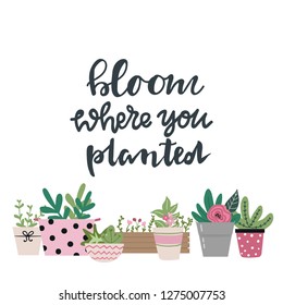 Bloom where you planted hand drawn lettering words and cute garden flowers and flowerpots