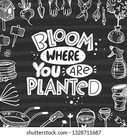 Bloom where you are planted. Hand-lettering phrase on the chalkboard. Vector illustration for poster, sticker, garden shop, home decor, placard, design, card, shop, magazine, motivation print
