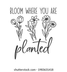 Bloom Where You Are Planted High Res Stock Images Shutterstock