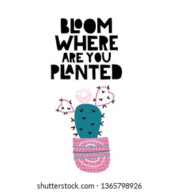 Bloom where are you planted. Lettering with modern flat cactus illustration