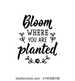 Bloom Where You Are Planted. Lettering. Can Be Used For Prints Bags, T-shirts, Posters, Cards. Calligraphy Vector. Ink Illustration