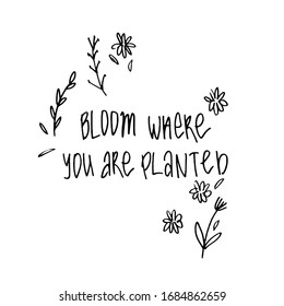 Bloom where you are planted phrase. Ink illustration. Modern brush calligraphy. Isolated on white background.