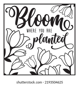 Bloom where you are planted quote isolate on white in square format. SVG cut file design for gardeners and flower lovers svg