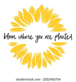 Bloom where you are planted. Sunflower Decorative Hippie poster with lettering. Yellow flat flower isolated on white background. Inspirational, Motivational quote for decor, apparel print.