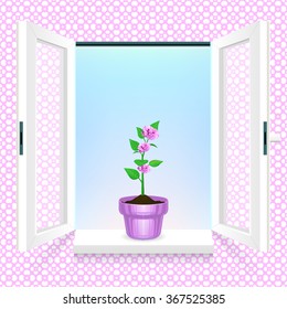 Bloomed flower pot in front of an open window