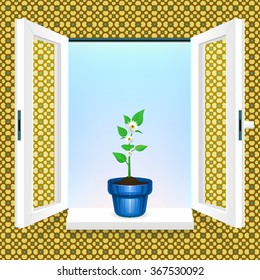 Bloomed flower pot in front of an open window