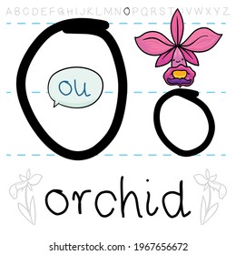 Bloomed orchid learning the alphabet letters and practicing the letter 'O' pronunciation.