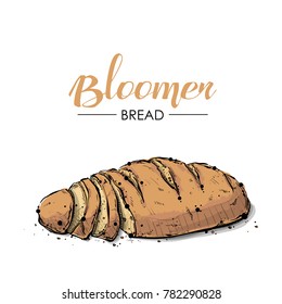 Bloomer bread drawing. Sketch style. Vector.