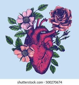 Blooming anatomical human heart. Vector hand drawn illustration in vintage style. Design for your tattoo, logo or other.