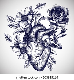 Blooming anatomical human heart. Vector hand drawn illustration in vintage style. Design for your tattoo, logo or other.