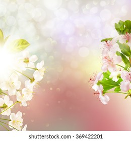 Blooming apple tree against the sky. EPS 10 vector file included