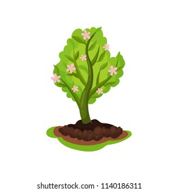 Blooming apple tree with bright green leaves and small pink flowers. Gardening theme. Flat vector for infographic poster about plant cultivation