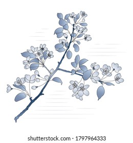 Blooming apple-tree branch in stylized blue shades. Vector illustration isolated on white background. Flowers and leaves on a branch. Design element for a greeting card, cover, web, app, print, fabric