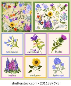 Blooming beaty. Big set of floral elements with lettering. Bellflowers, wood cow-wheat, thistle, lupines, sunflower, hydrangea.