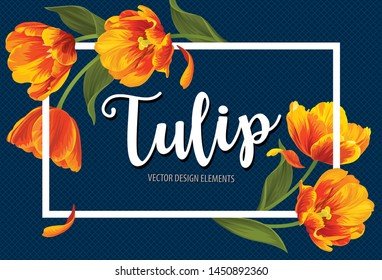 Blooming beautiful orange with yellow tulip flowers on blue background template. Vector set of blooming floral for wedding invitations, greeting card, voucher, brochures and banners design.