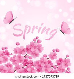 Blooming beautiful pink spring sakura, flying butterflies and calligraphic inscription. Vector illustration.