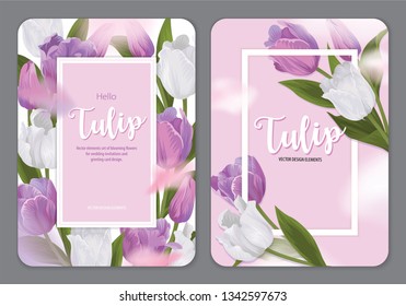 Blooming beautiful purple and white tulip flowers background template. Vector set of blooming floral for wedding invitations, greeting card, voucher, brochures and banners design.