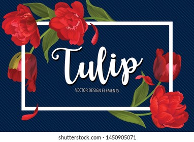 Blooming beautiful red tulip flowers on blue background template. Vector set of blooming floral for wedding invitations, greeting card, voucher, brochures and banners design.