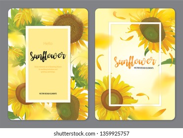 Blooming beautiful sunflowers background template. Vector set of blooming floral for wedding invitations, greeting card, voucher, brochures and banners design.