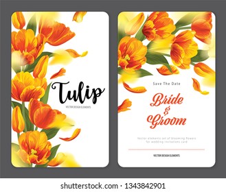 Blooming beautiful yellow with orange tulip flowers background template. Vector set of blooming floral for wedding invitations, greeting card, voucher, brochures and banners design.