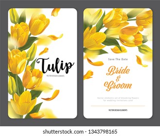 Blooming beautiful yellow tulip flowers background template. Vector set of blooming floral for wedding invitations, greeting card, voucher, brochures and banners design.