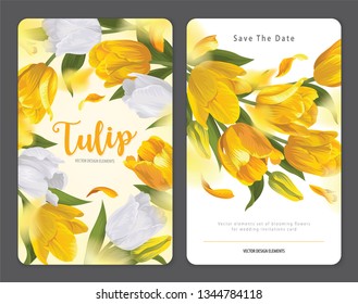 Blooming beautiful yellow with white tulip flowers background template. Vector set of blooming floral for wedding invitations, greeting card, voucher, brochures and banners design.