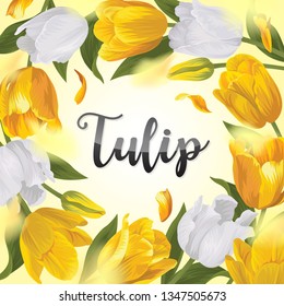 Blooming beautiful yellow with white tulip flowers background template. Vector set of blooming floral for wedding invitations, greeting card, voucher, brochures and banners design.