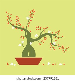 Blooming Bonsai Tree in a Tray