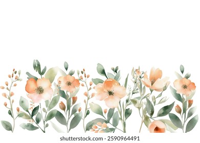 Blooming botanical flowers background. colorful wild flower on white background. 