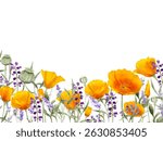 Blooming botanical flowers border frame. Yellow and purple wild flower on white background.Colorful garden. vector illustration