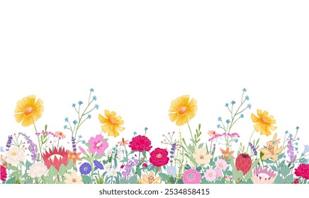 Blooming botanical flowers border frame. colorful wild flower on white background. Colorful garden vector illustration.