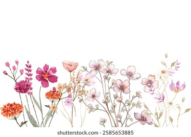 Blooming botanical flowers border frame. Watercolor wild flower on white background.