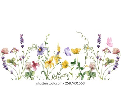 Blooming botanical flowers border frame. colorful wild flower on white background. Colorful garden vector illustration.