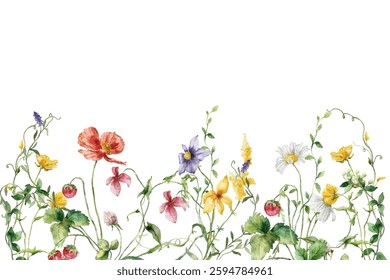 Blooming botanical flowers border frame. colorful wild flower on white background. Colorful garden vector illustration.