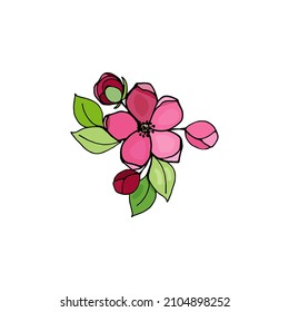 Blooming branch of cherry, sakura, apple tree with leaves, buds, flowers, vector drawing with black outline and colorful fill. Vector illustration for festive design poster, сard, tee shirt, decor.