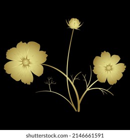 Blooming branch of cosmos flower. Golden glossy silhouette on black background.