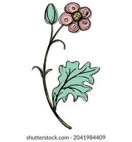 Blooming branch with green leaves and pink flower. Medieval floral motif. Folk style. Illuminated manuscript design. Hand drawn colorful rough sketch. 