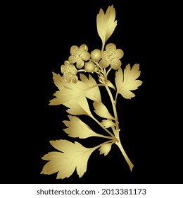 Blooming Branch Of Hawthorn Tree With Leaves And Flowers. Floral Spring Motif. Golden Glossy Silhouette On Black Background.