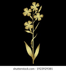 Blooming branch of Hesperis Alba flower. Dame's Rocket. Sweet Rocket. Golden glossy silhouette on black background.