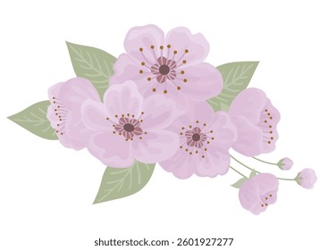 Blooming branch isolated on white. Vector illustration of pink sprint tree flowers blossom