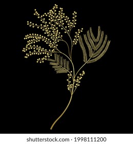 Blooming branch of mimosa flower. Golden glossy silhouette on black background. 