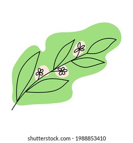 Blooming branch. Minimalist line art illustration on abstract green spot