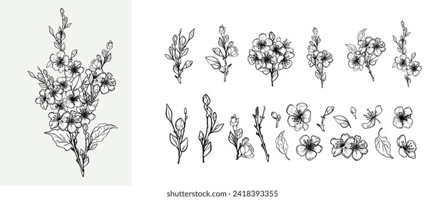 Blooming branch of sakura, apple tree, peach. Realistic outline hand drawing of beautiful flowers with buds and leaves, a set of elements for logo, wedding design. Vector illustration.