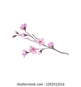 Blooming branch of sakura tree. Twig with small pink flowers. Nature and flora theme. Detailed flat vector design