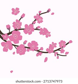 Rama floreciente de ciruela de árbol, Vector plano aislado ilustración, elemento, coreano, escena china