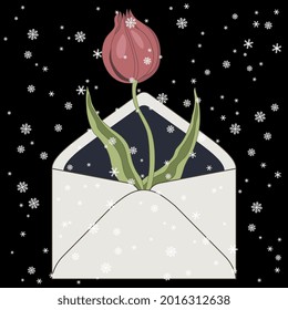 Blühender Zweig der Tulpenblume im Papierumschlag unter Schneeflocken. Saisonale Blumengestaltung. Auf schwarzem Hintergrund