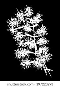 The blooming branch. Vector illustration. 