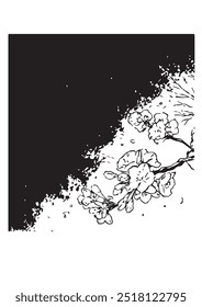 blooming brench of sakura flowers with black background