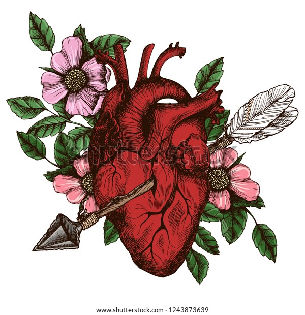 花が咲くと 人の心が折れる 解剖学的な心とキューピッドの矢印を持つ手描きのベクトルのシンボルイラスト のベクター画像素材 ロイヤリティフリー
